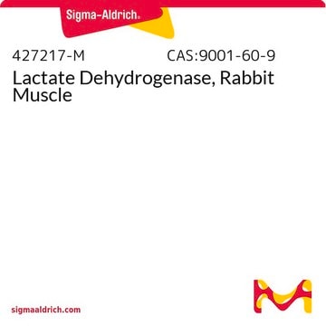 Lactate Dehydrogenase, Rabbit Muscle