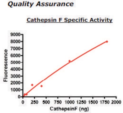 Cathepsin F Active human recombinant, expressed in FreeStyle&#8482; 293-F cells, &#8805;90% (SDS-PAGE)