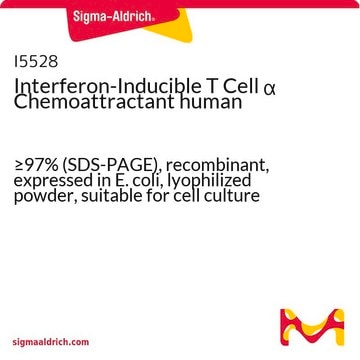 Interferon-Inducible T Cell &#945; Chemoattractant human &#8805;97% (SDS-PAGE), recombinant, expressed in E. coli, lyophilized powder, suitable for cell culture