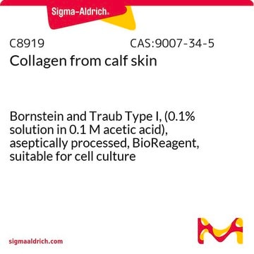 Kollagen aus Kalbshaut Bornstein and Traub Type I, (0.1% solution in 0.1 M acetic acid), aseptically processed, BioReagent, suitable for cell culture