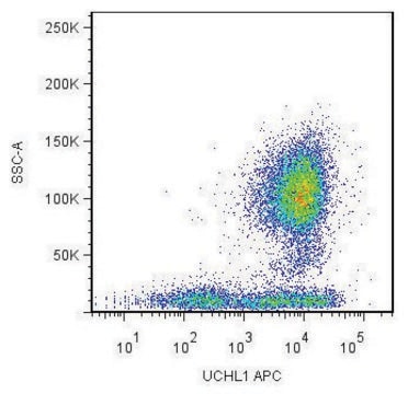 Monoclonal Anti-CD45R0-APC antibody produced in mouse clone UCHL1