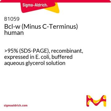 Bcl-w (Minus C-Terminus) human &gt;95% (SDS-PAGE), recombinant, expressed in E. coli, buffered aqueous glycerol solution