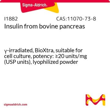 胰岛素 来源于牛胰腺 &#947;-irradiated, BioXtra, suitable for cell culture, potency: &#8805;20&#160;units/mg (USP units), lyophilized powder