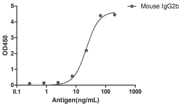 Przeciwciało Alpaca przeciw mysiej IgG2b (Fcγ) z pojedynczą domeną recombinant Alpaca(VHH) Nano antibody