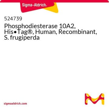 Fosfodiesteraza 10A2, His-Tag&#174;, ludzka, rekombinowana, S. frugiperda