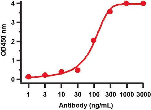 Anti-SARS-CoV-2 (COVID-19) NSP2 antibody produced in rabbit affinity isolated antibody