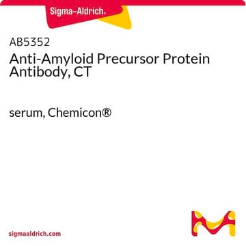 Anti-Amyloid Precursor Protein Antibody, CT serum, Chemicon&#174;