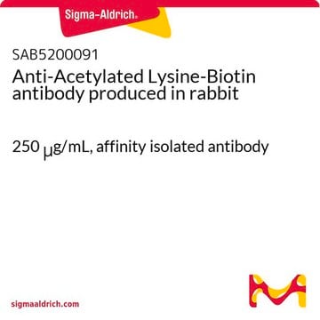 Anti-Acetylated Lysine-Biotin antibody produced in rabbit 250&#160;&#956;g/mL, affinity isolated antibody