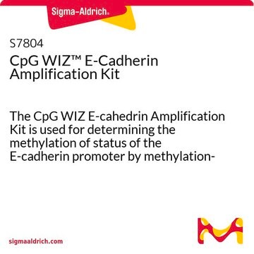 CpG WIZ&#8482; E-Cadherin Amplification Kit The CpG WIZ E-cahedrin Amplification Kit is used for determining the methylation of status of the E-cadherin promoter by methylation-specific PCR (MSP).