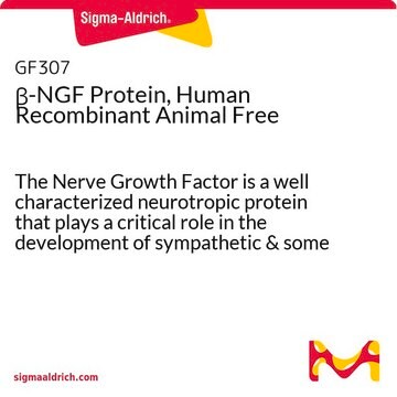 &#946;-NGF Protein, Human Recombinant Animal Free The Nerve Growth Factor is a well characterized neurotropic protein that plays a critical role in the development of sympathetic &amp; some sensory neurons in the peripheral nervous system. Manufactured using all non-animal reagents.