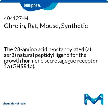 Ghrelin, Rat, Mouse, Synthetic The 28-amino acid n-octanoylated (at ser3) natural peptidyl ligand for the growth hormone secretagogue receptor 1a (GHSR1a).