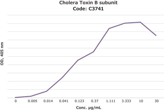 Sous-unité&nbsp;B de la toxine cholérique peroxidase conjugate (Contains ~ 2 moles HRP/mole of CTB. ~100 &#956;g HRP conjugated to ~45 &#956;g CTB), lyophilized powder