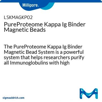 PureProteome Kappa Ig Binder Magnetic Beads The PureProteome Kappa Ig Binder Magnetic Bead System is a powerful system that helps researchers purify all Immunoglobulins with high specificity.