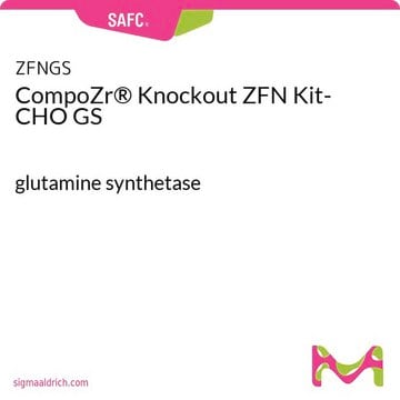 化合物 &#174; 基因敲除 ZFN 试剂盒-CHO GS glutamine synthetase