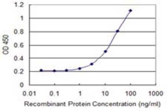 Monoclonal Anti-C7ORF10, (C-terminal) antibody produced in mouse clone 2B11, purified immunoglobulin, buffered aqueous solution