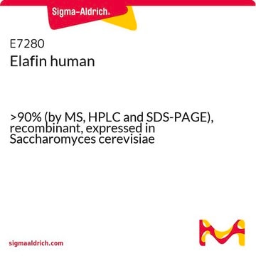 Elafin human &gt;90% (by MS, HPLC and SDS-PAGE), recombinant, expressed in Saccharomyces cerevisiae