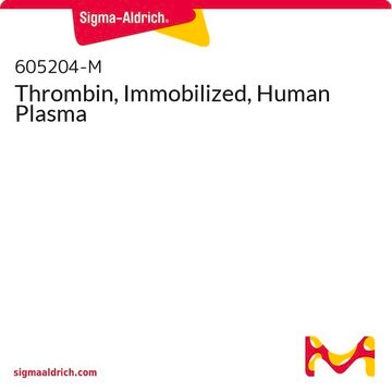 Thrombin, Immobilized, Human Plasma