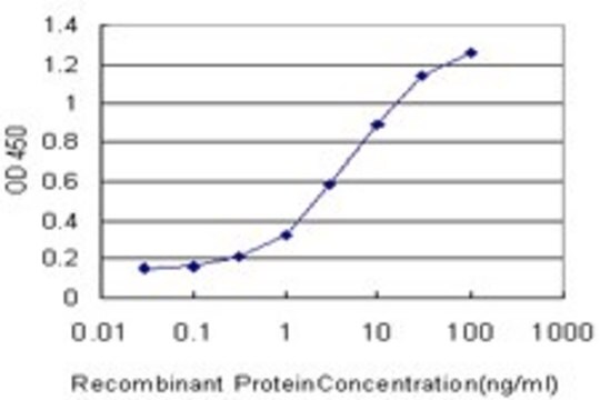 Monoclonal Anti-SLC6A4 antibody produced in mouse clone 2A9, purified immunoglobulin, buffered aqueous solution