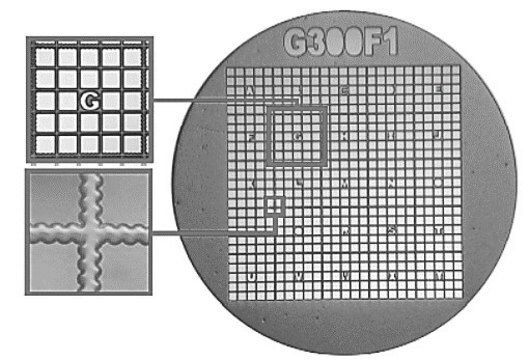 Gilder Finder Grids G300F1 Copper, size 300&#160;mesh, vial of 100