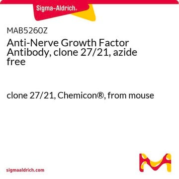 Anti-Nerve Growth Factor Antibody, clone 27/21, azide free clone 27/21, Chemicon&#174;, from mouse