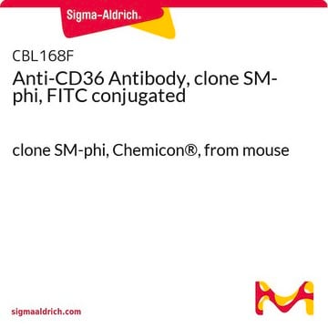 Anti-CD36 Antibody, clone SM-phi, FITC conjugated clone SM-phi, Chemicon&#174;, from mouse