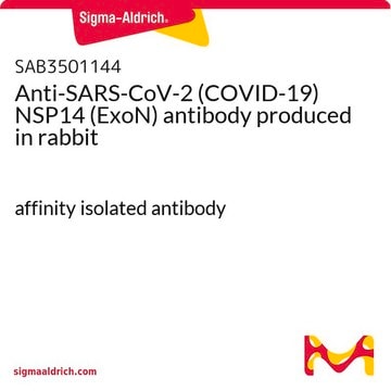 Anti-SARS-CoV-2 (COVID-19) NSP14 (ExoN) antibody produced in rabbit affinity isolated antibody