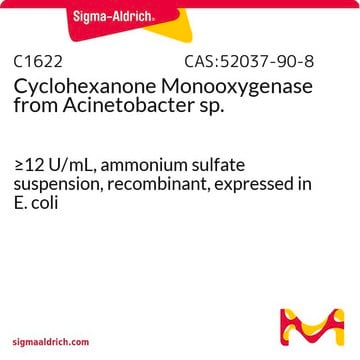 Cyclohexanone Monooxygenase from Acinetobacter sp. &#8805;12&#160;U/mL, ammonium sulfate suspension, recombinant, expressed in E. coli