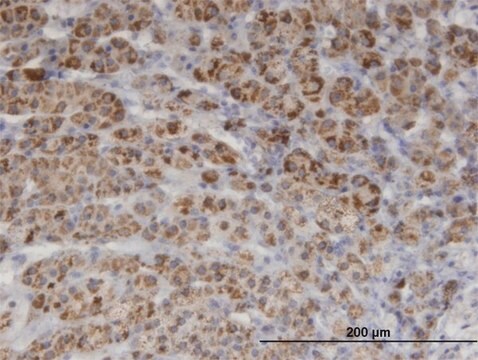 Monoclonal Anti-PIK3C2A, (C-terminal) antibody produced in mouse clone 3E7, purified immunoglobulin, buffered aqueous solution