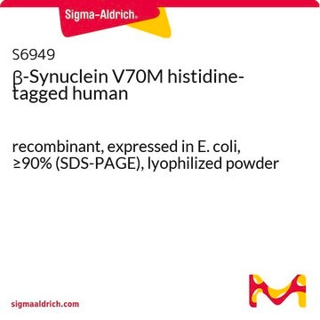 &#946;-Synuclein V70M histidine-tagged human recombinant, expressed in E. coli, &#8805;90% (SDS-PAGE), lyophilized powder