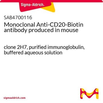 Monoclonal Anti-CD20-Biotin antibody produced in mouse clone 2H7, purified immunoglobulin, buffered aqueous solution