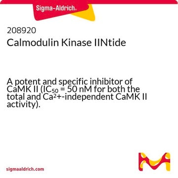 Calmodulin Kinase IINtide A potent and specific inhibitor of CaMK II (IC&#8325;&#8320; = 50 nM for both the total and Ca2+-independent CaMK II activity).