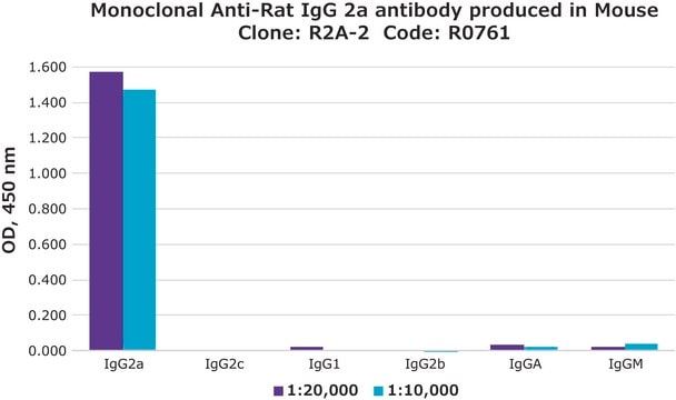 Monoclonal Anti-Rat IgG2a antibody produced in mouse clone R2A-2, ascites fluid