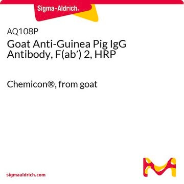 Goat Anti-Guinea Pig IgG Antibody, F(ab&#8242;) 2, HRP Chemicon&#174;, from goat