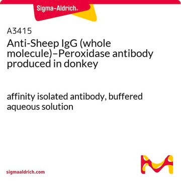 抗羊IgG(全链分子), 过氧化物酶偶联 驴抗 affinity isolated antibody, buffered aqueous solution