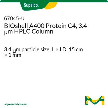 BIOshell A400 Protein C4, 3.4 &#956;m HPLC Column 3.4&#160;&#956;m particle size, L × I.D. 15&#160;cm × 1&#160;mm