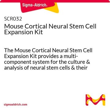 Mouse Cortical Neural Stem Cell Expansion Kit The Mouse Cortical Neural Stem Cell Expansion Kit provides a multi-component system for the culture &amp; analysis of neural stem cells &amp; their differentiated progenies.