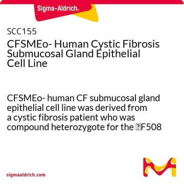 CFSMEo- Human Cystic Fibrosis Submucosal Gland Epithelial Cell Line CFSMEo- human CF submucosal gland epithelial cell line was derived from a cystic fibrosis patient who was compound heterozygote for the &#916;F508 and Q2X CFTR mutations.