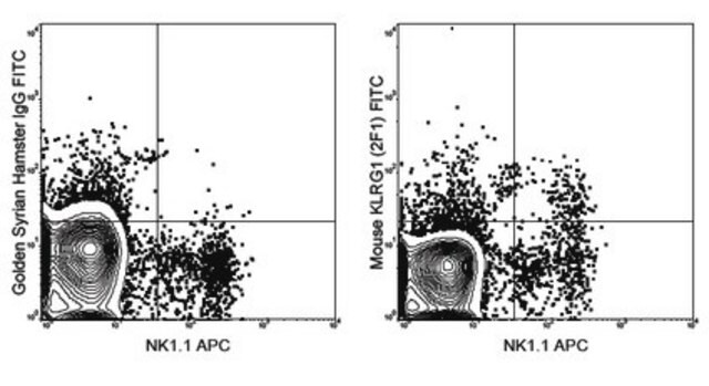 Anti-KLRG1 Antibody (mouse), FITC, clone 2F1 clone 2F1, 0.5&#160;mg/mL, from hamster(Syrian)