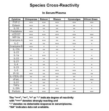 MILLIPLEX&#174; Non-Human Primate Cytokine/Chemokine Panel II - 24-Plex Premixed Immunology Multiplex Assay Simultaneously analyze multiple cytokine and chemokine biomarkers with Bead-Based Multiplex Assays using the Luminex technology, in non-human primate serum, plasma and cell culture samples.