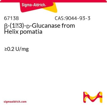 &#946;-(1&#8594;3)-D-Glucanase aus Helix pomatia &#8805;0.2&#160;U/mg