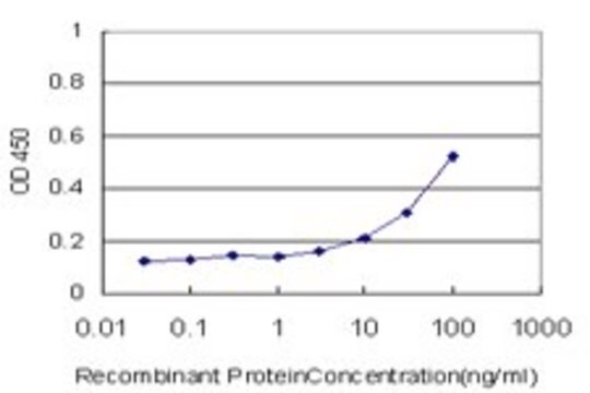 Monoclonal Anti-TDO2 antibody produced in mouse clone 1C8, purified immunoglobulin, buffered aqueous solution