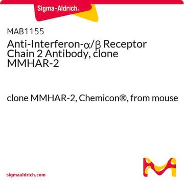 Anti-Interferon-&#945;/&#946; Receptor Chain 2 Antibody, clone MMHAR-2 clone MMHAR-2, Chemicon&#174;, from mouse