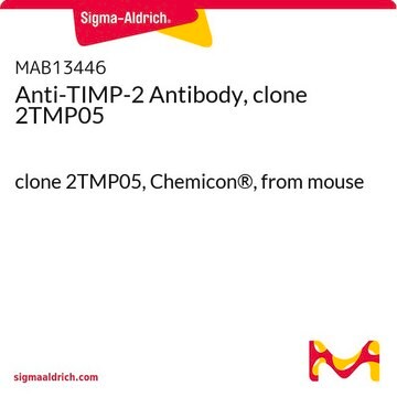 Anti-TIMP-2 Antibody, clone 2TMP05 clone 2TMP05, Chemicon&#174;, from mouse