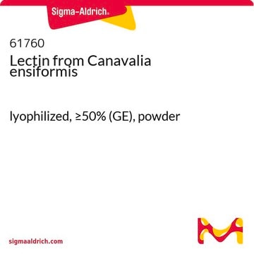 Lektin aus Canavalia ensiformis lyophilized, &#8805;50% (GE), powder