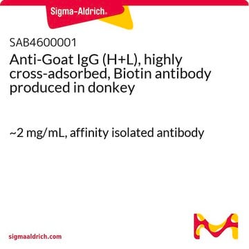 Anti-Goat IgG (H+L), highly cross-adsorbed, Biotin antibody produced in donkey ~2&#160;mg/mL, affinity isolated antibody