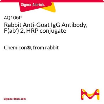 Rabbit Anti-Goat IgG Antibody, F(ab&#8242;) 2, HRP conjugate Chemicon&#174;, from rabbit