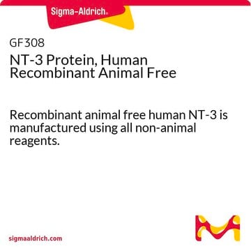 NT-3- Protein, human, rekombinant, tierfrei Recombinant animal free human NT-3 is manufactured using all non-animal reagents.