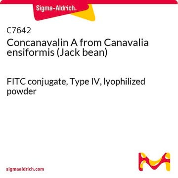 Concanavalin A aus Canavalia ensiformis (Jack bean) FITC conjugate, Type IV, lyophilized powder