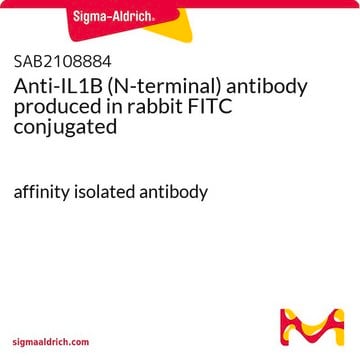 Anti-IL1B (N-terminal) antibody produced in rabbit FITC conjugated affinity isolated antibody