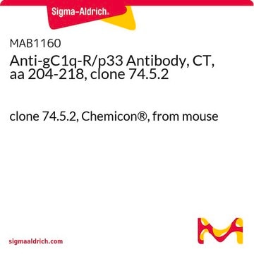 Anti-gC1q-R/p33 Antibody, CT, aa 204-218, clone 74.5.2 clone 74.5.2, Chemicon&#174;, from mouse